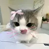 _shifa92