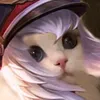 vietnguyenhoang86