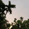 aldomaulanaaldo03