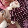 helloinicc
