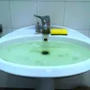 giovicore