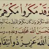abuahmedadel