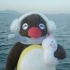 goingmerry97
