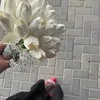 فـاطِـمّ 🦋.