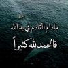 user4542271665982