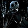 spider_leo81