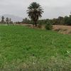 user9616081696110