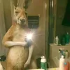 alertatictock