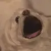 roroxzy