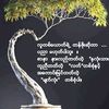 user9361477933487