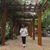 thukara7