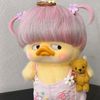 risha11114