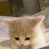 ywtqc