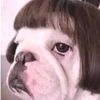 itsmedirathedoggy
