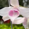 doanh1722864