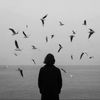 almaram_q