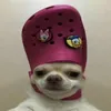 prorobloxplayer_pl