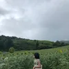 imnuyng