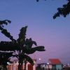 anggaprasttya__