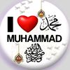 hafizsalman6600