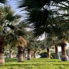 al_98a2