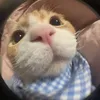 id2292005