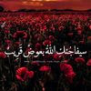 user59305519668057