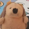 user9tqefu9bvo