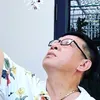didetrove04