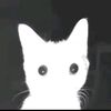 _arul227