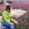 thanhtienta_1234