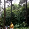 ainursyafira507