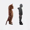 commander.meow