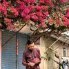 ahamedsohel66