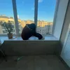 angellcry25