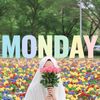 mondayflowers15