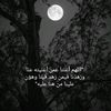 ehabali0966