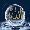 alkhamdou7