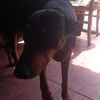 mateo_1922_