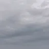 nhngvn31
