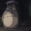 xinloianhkodeptrai