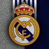 caalbrayan502
