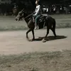 dalmacabrera23