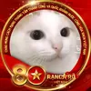 kethongtri2.0