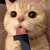 onthepay