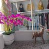 eticha.butik.afifa