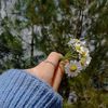 yousra.ebrahim24