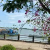 tronkembangdau