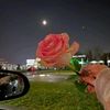 moody_zizoo