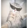 abby.saja00